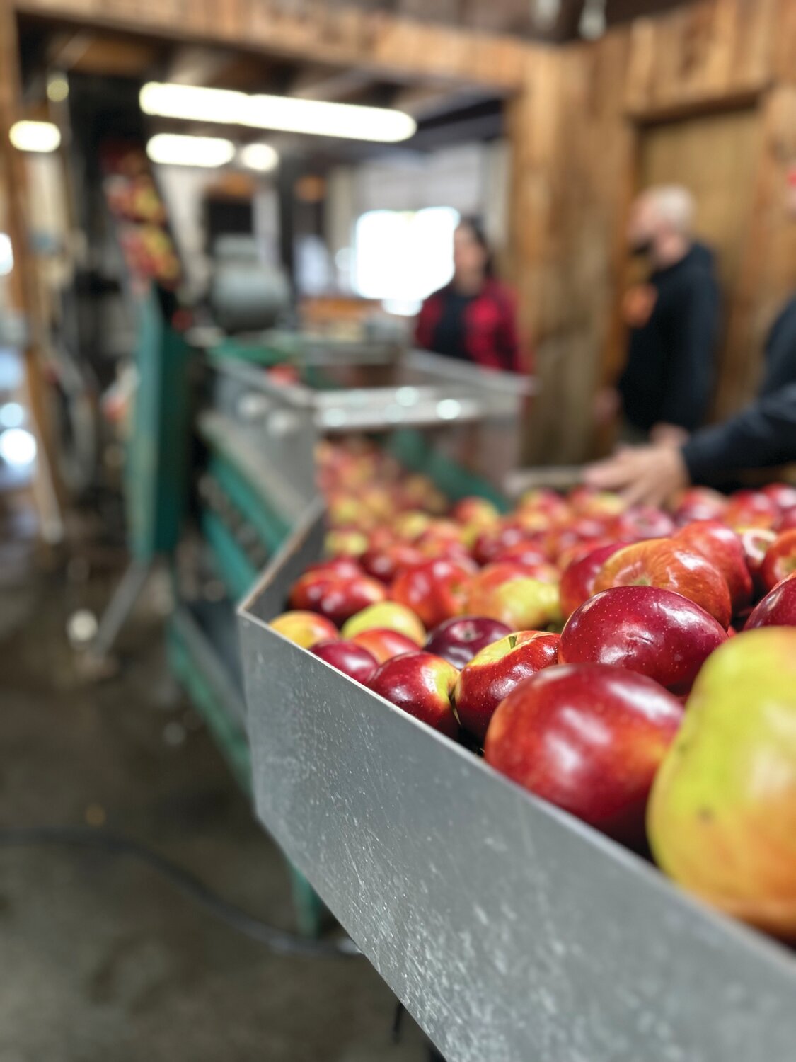 STOP THE PRESSES: The Shields family took ownership of Appleland in April and the former owners, the D’Andrea family, helped smooth the transition. They helped press cider and pass on some of the orchard’s production secrets.